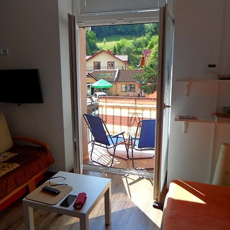 Apartament Kraszewskiego كرينيتسا زدروي المظهر الخارجي الصورة