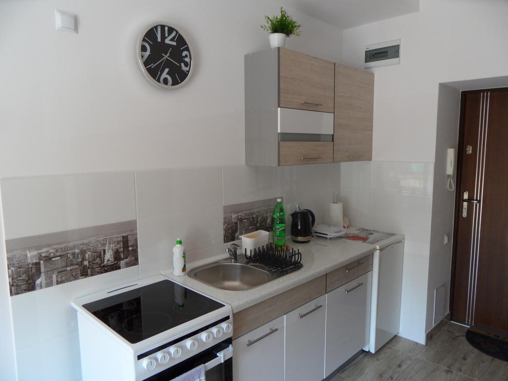 Apartament Kraszewskiego كرينيتسا زدروي المظهر الخارجي الصورة