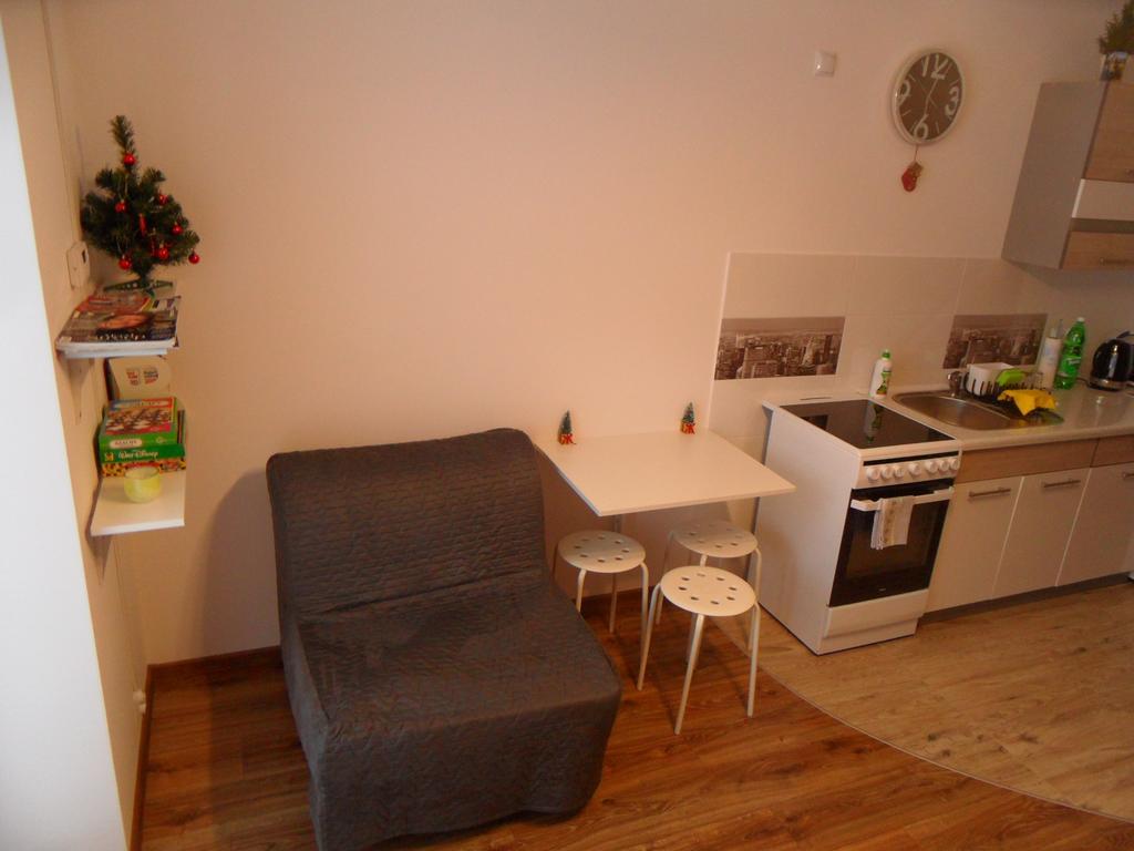 Apartament Kraszewskiego كرينيتسا زدروي المظهر الخارجي الصورة